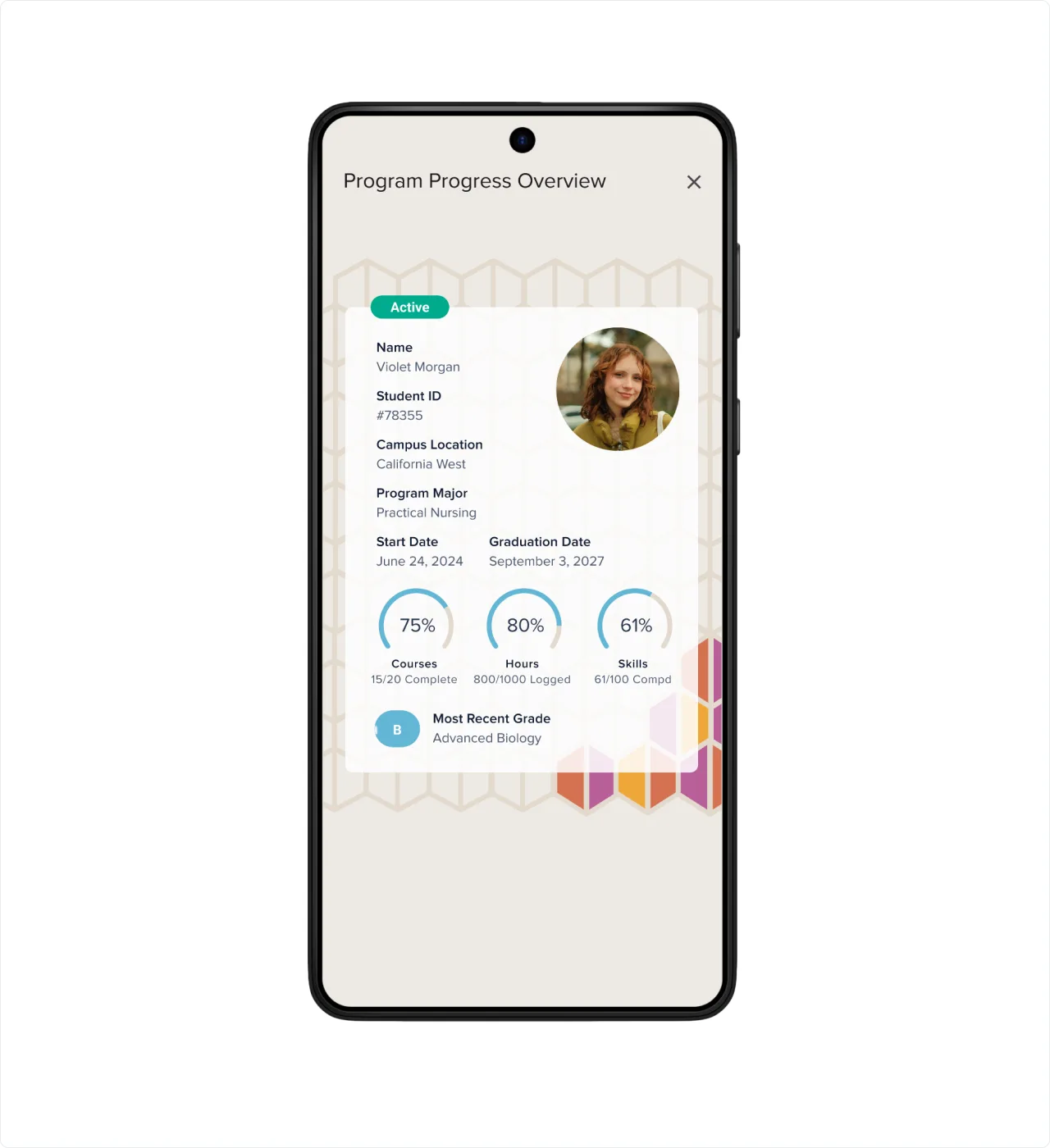 Evaluation of the existing student platform experience